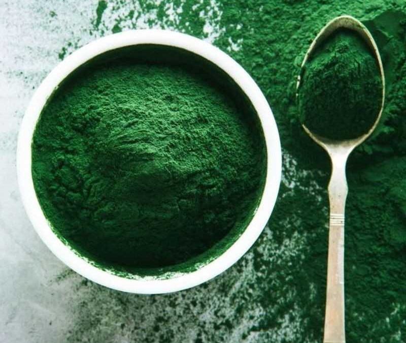 Spirulina: el alga que revoluciona la nutrición